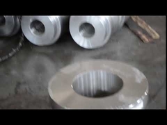 ধাতুবিদ্যার জন্য জালকৃত SUS302 1.4307 স্টেইনলেস স্টিলের রিং